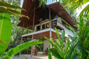 a house in the jungle with a wooden roof at Casa Leon in Talamanca