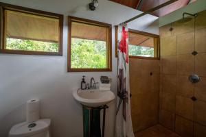 a bathroom with a sink and a shower and a toilet at Casa Leon in Talamanca