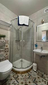 a bathroom with a shower and a toilet and a sink at Villa K2 in Karpacz +118 photos