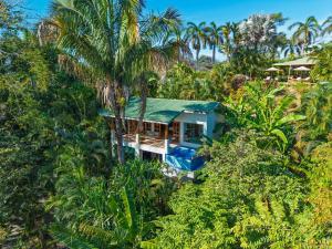 a blue house in the middle of the forest at Ocio Villas Mal Pais in Santa Teresa Beach