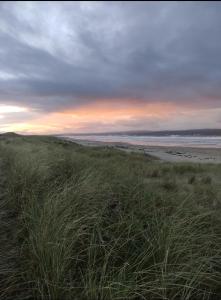 a field of tall grass next to a beach at The Wild Atlantic Townhouse in Enniscrone