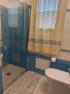 a bathroom with a shower and a toilet at Casa Dessi in Tanaunella