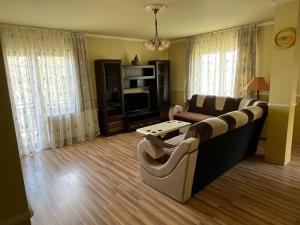 a living room with a couch and a table at Queen Apartmani in Soko Banja