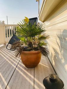 a plant in a pot sitting on a porch at Paddocks 4 in East Mersea