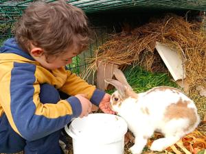 a young boy feeding a rabbit from a bucket at Le Moulin Des Ocres in Apt +67 photos
