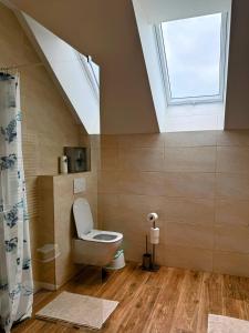 a bathroom with a toilet and a skylight at Pobyt na Mlýně in Červená Voda +48 photos