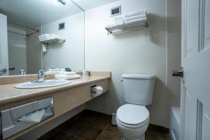 a bathroom with a toilet and a sink and a mirror at Cahilty #211 home in Sun Peaks