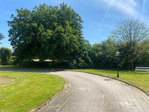 a cobblestone road in a park with a tree at The Dairy Nolans organic farm in Ramsgrange +8 photos