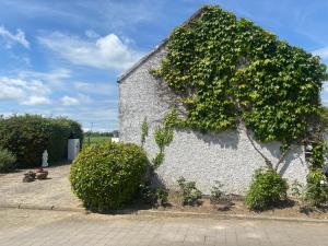 a ivy covered building with two bushes at The Dairy Nolans organic farm in Ramsgrange