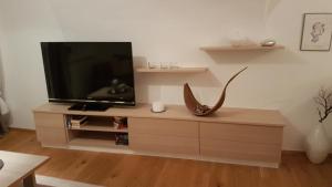 Televízia a/alebo spoločenská miestnosť v ubytovaní Apartment Enzinger
