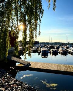 a view of a marina with boats in the water at Rindö Hamn Bed & Breakfast in Vaxholm
