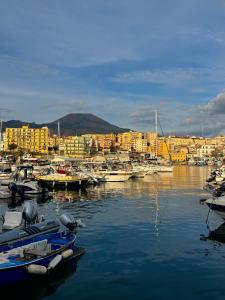 a group of boats are docked in a harbor at B&B leperle in Torre del Greco