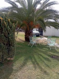 a group of lawn chairs sitting under a palm tree at Rincon Del Colibri in Reyes