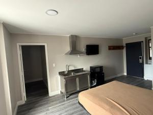 a room with a bed and a sink and a kitchen at Monte Mario Motel & Efficiency in Latham