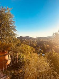 a view from the top of a hill with trees at Posada Bella Vista 1 y 2 in El Volcán