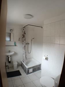 a bathroom with a shower and a toilet at Chata Florian in Adolfov