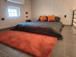 ein Schlafzimmer mit einem großen Bett und einem orangefarbenen Teppich in der Unterkunft Tiny Room Historic Center in Hermosillo