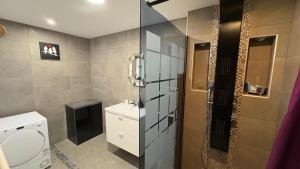 a bathroom with a shower and a sink and a toilet at Bellevue in Colmar