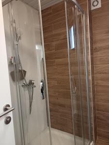 a shower with a glass door in a bathroom at Orca Apartman in Jagodina +14 photos