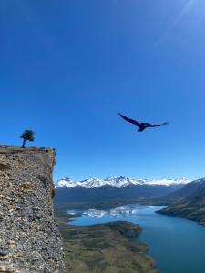 a plane flying over a lake with a tree on a cliff at ይሥሓቅ House in Puerto Natales