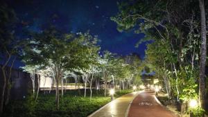 eine Straße mit Bäumen und Lichtern bei Nacht in der Unterkunft Itatia1 in Playa del Carmen