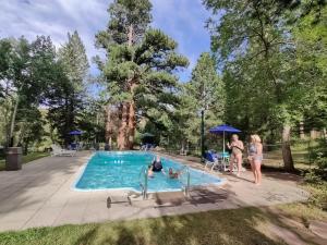 a group of people in a swimming pool at Nicky's Resort in Estes Park