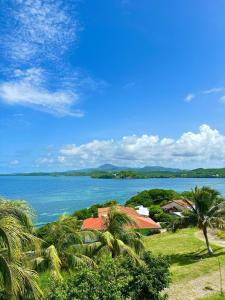 a view of a large body of water with palm trees at La Maison Rose in Le Robert