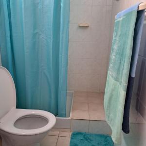 a bathroom with a toilet and a blue shower curtain at La Maison Rose in Le Robert