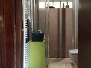 a bathroom with a shower and a toilet in it at Cozy Durbuy Chalet with fireplace in Dochamps +19 photos