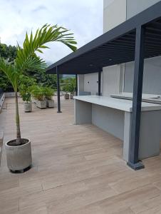 a patio with a table and a palm tree at MOCA Living in Cali
