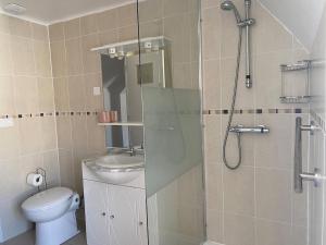 a bathroom with a shower and a sink and a toilet at La Factory Saint Aignan in Saint-Aignan +7 photos