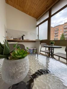 a room with a table with a potted plant on it at Rifugio Urbano in Terni
