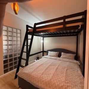 a bedroom with a bunk bed with a ladder at Ap DoDe Predeal in Predeal