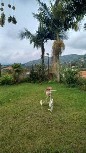 a small bike sitting in the grass next to a palm tree at villa lyda in San Vicente