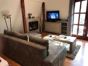 a living room with a couch and a television at Blue Danube Apartment in Belgrade