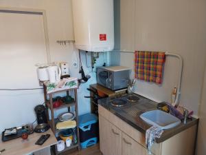 a small kitchen with a sink and a microwave at Tauber RadApart Kreativhof in Creglingen