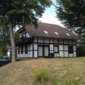 une maison noire et blanche avec un arbre en face dans l'établissement House of Rootz, à Frankenau
