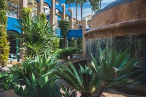 a fountain in the courtyard of a building with plants at Hotel La Laguna Spa & Golf in Torrevieja