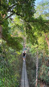 a person on a suspension bridge in the forest at Namdong Waterfall & Eco Resort in Luang Prabang +17 photos