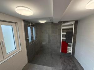 a bathroom with a walk in shower next to a window at Ferienhaus FachWerk in Holler +11 photos