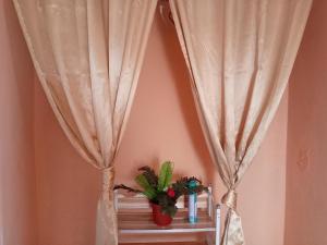 Gallery image of Dona Beba Guesthouse in La Caleta