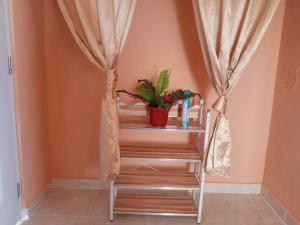 Gallery image of Dona Beba Guesthouse in La Caleta +27 photos