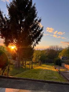 a tree in a yard with the sunset in the background at Studio Terrasse Comfort By Titou - Jumet in Charleroi