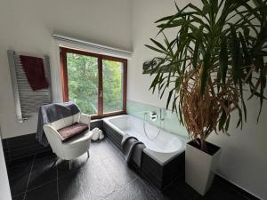 a bathroom with a plant and a tub and a chair at Haus Titschendorf in Wurzbach