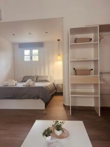 a bedroom with a bed and a book shelf at Louvros Luxury Suites in Dassia