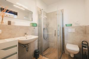 a bathroom with a shower and a sink and a toilet at Zum Koi Fischer in Fuhlendorf