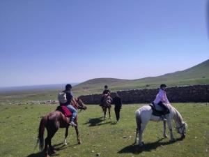 a group of people riding horses in a field at Asraf village guesthouse in Aydar Kul’