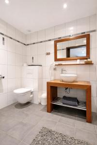 a bathroom with a toilet and a sink and a mirror at Hôtel La Ferme de Sy in Ferrières +14 photos