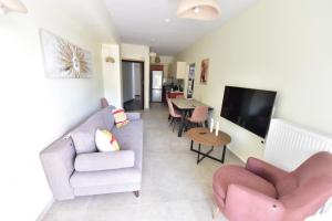a living room with a couch and chairs and a tv at EREA Homes Apartments in Eretria