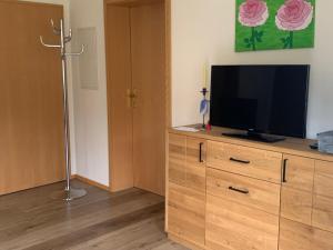 a television on a wooden dresser in a room at Ferienwohnung Wehner in Seiferts +11 photos
